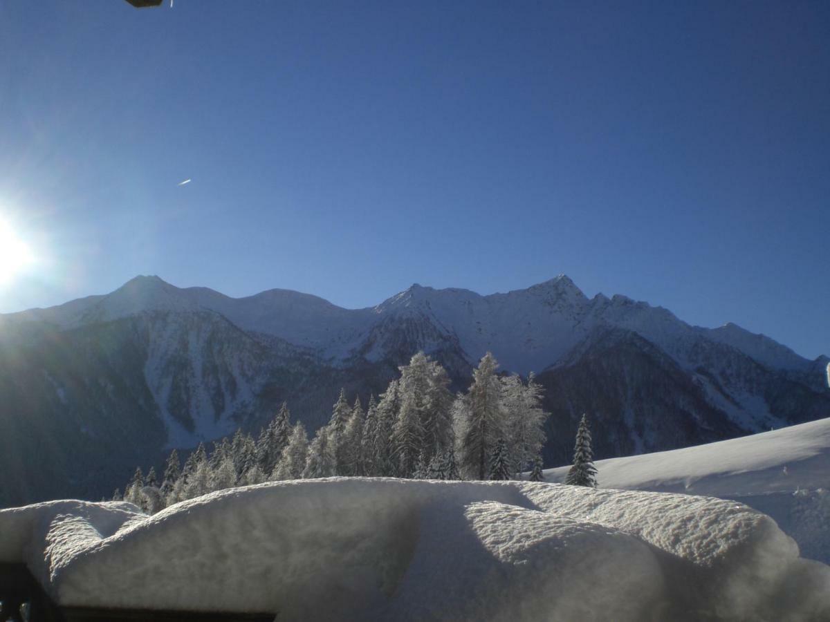 Chalet Niederhaushof 欧缇莫 外观 照片