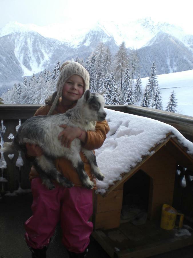Chalet Niederhaushof 欧缇莫 外观 照片