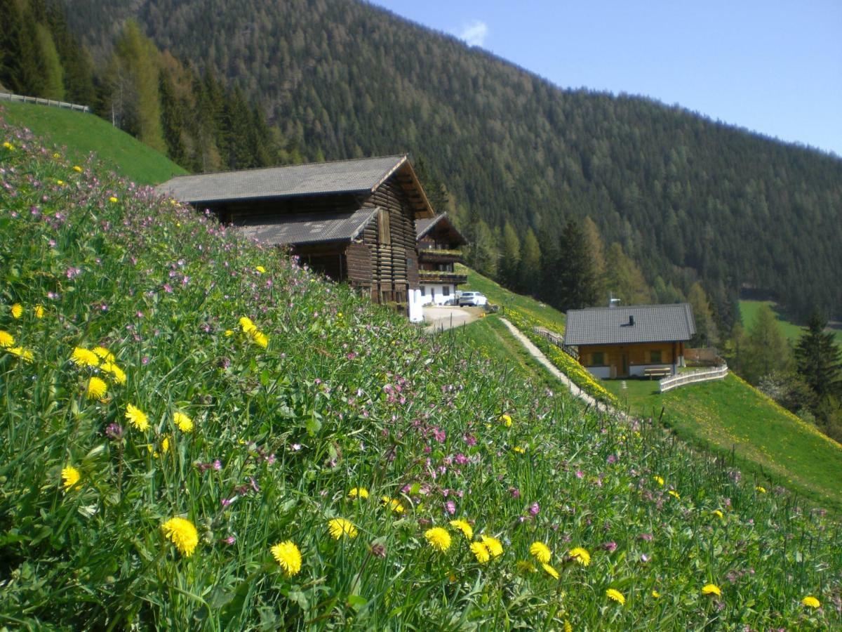 Chalet Niederhaushof 欧缇莫 外观 照片