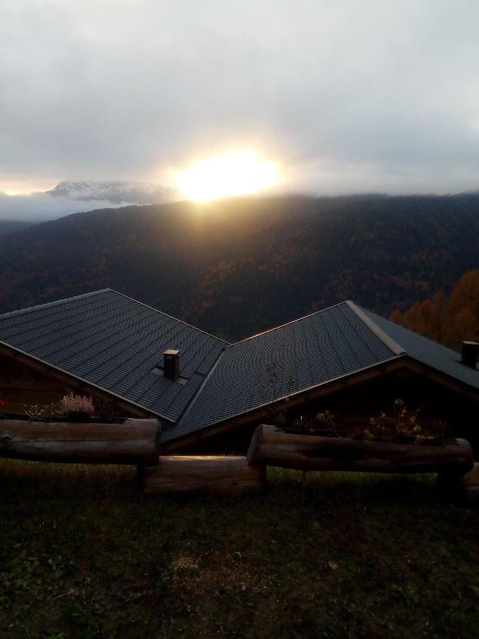 Chalet Niederhaushof 欧缇莫 外观 照片