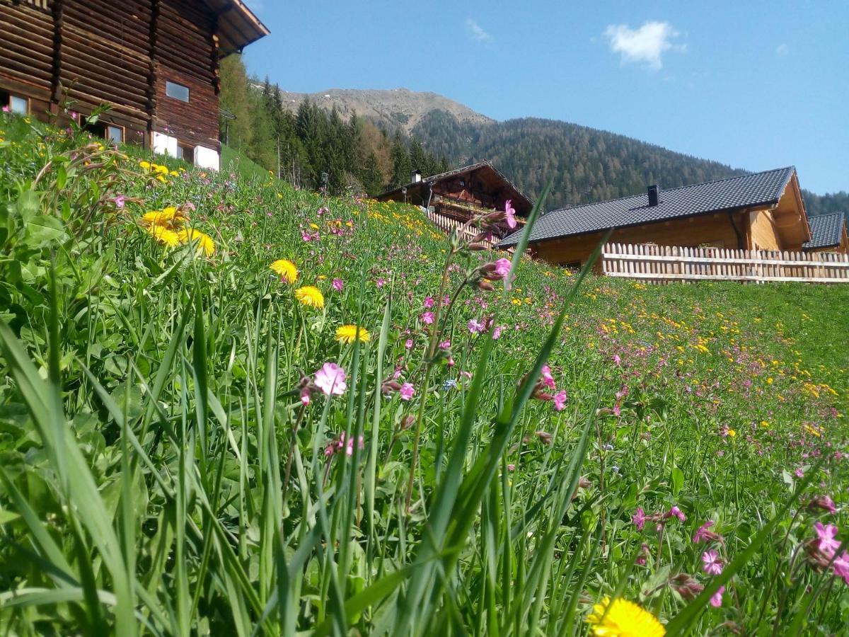 Chalet Niederhaushof 欧缇莫 外观 照片
