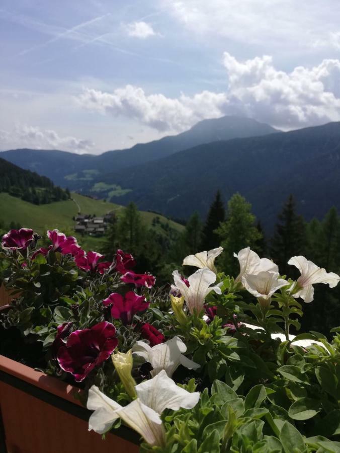 Chalet Niederhaushof 欧缇莫 外观 照片