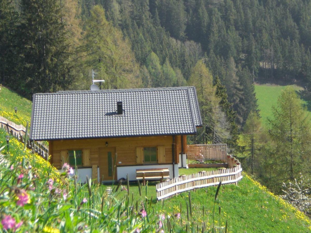 Chalet Niederhaushof 欧缇莫 外观 照片