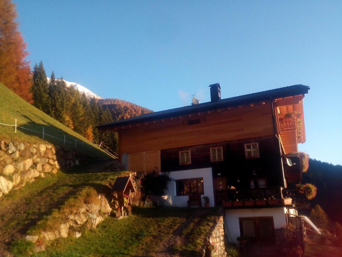 Chalet Niederhaushof 欧缇莫 外观 照片