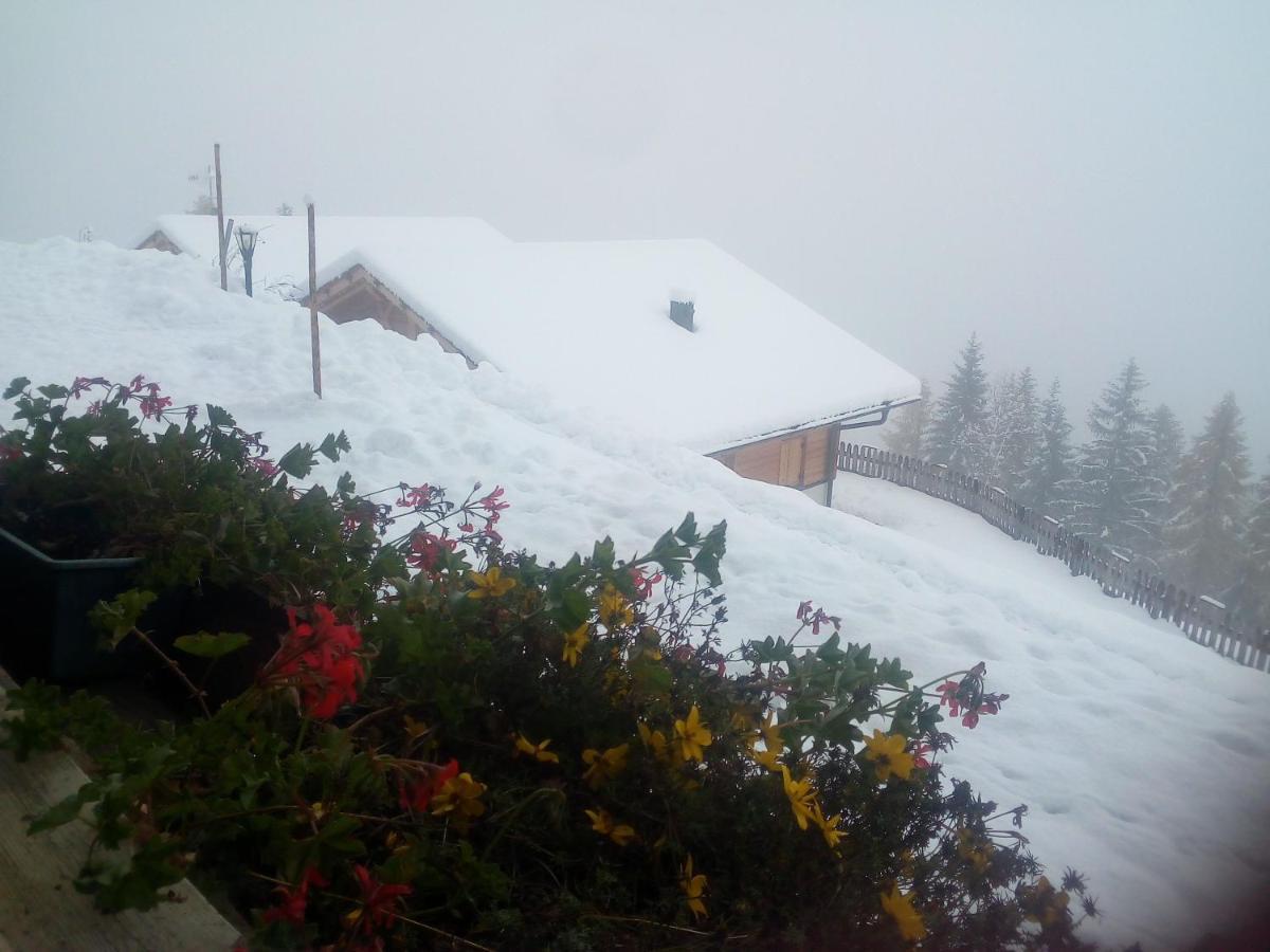 Chalet Niederhaushof 欧缇莫 外观 照片
