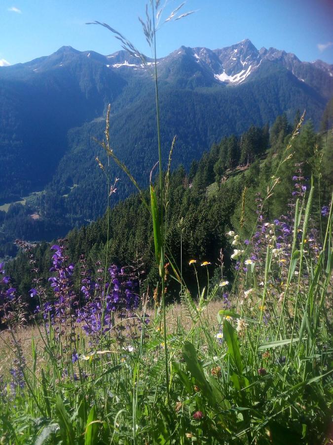 Chalet Niederhaushof 欧缇莫 外观 照片