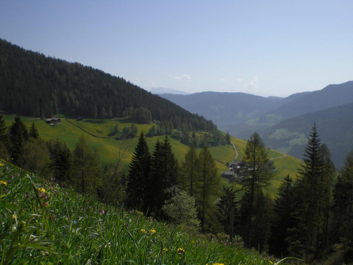 Chalet Niederhaushof 欧缇莫 外观 照片