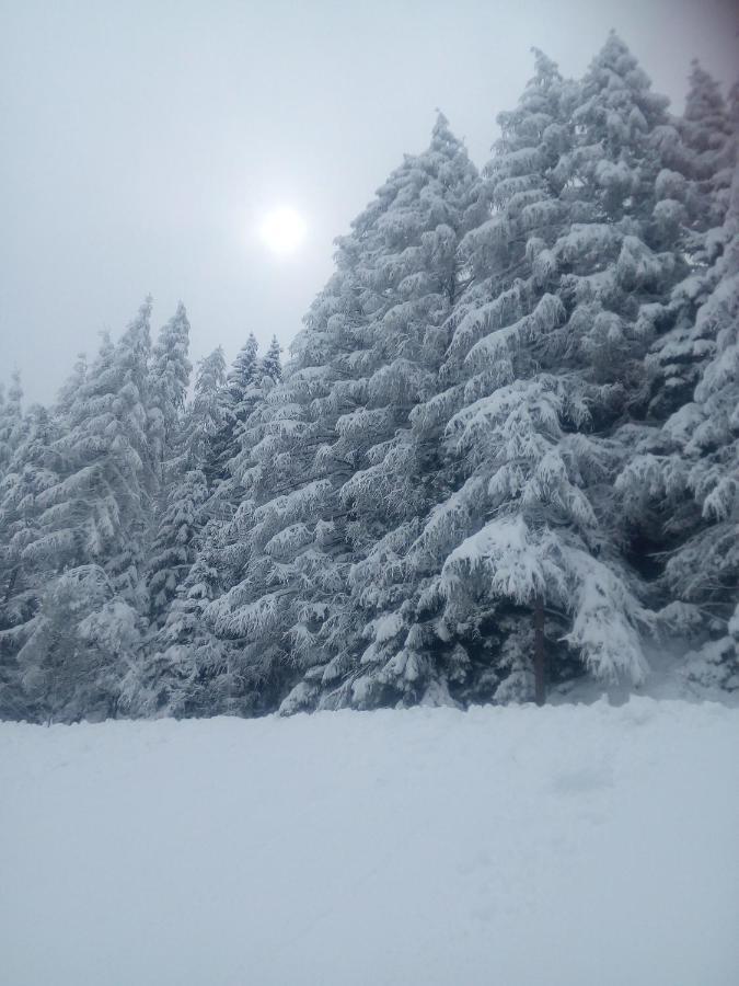 Chalet Niederhaushof 欧缇莫 外观 照片